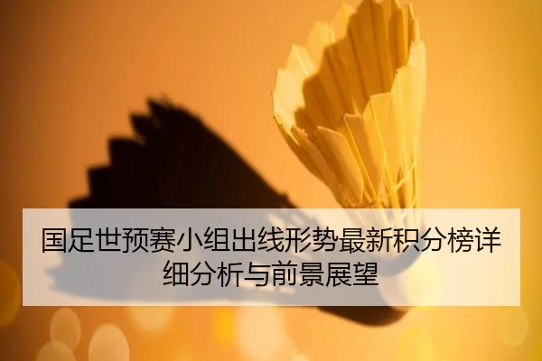 国足世预赛小组出线形势最新积分榜详细分析与前景展望 | igame